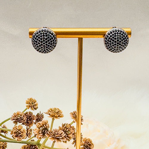 CHIC SILVER SHINE Earrings