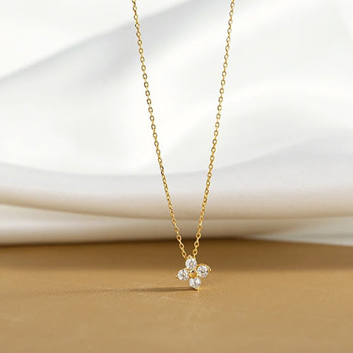 DAISY DELIGHT